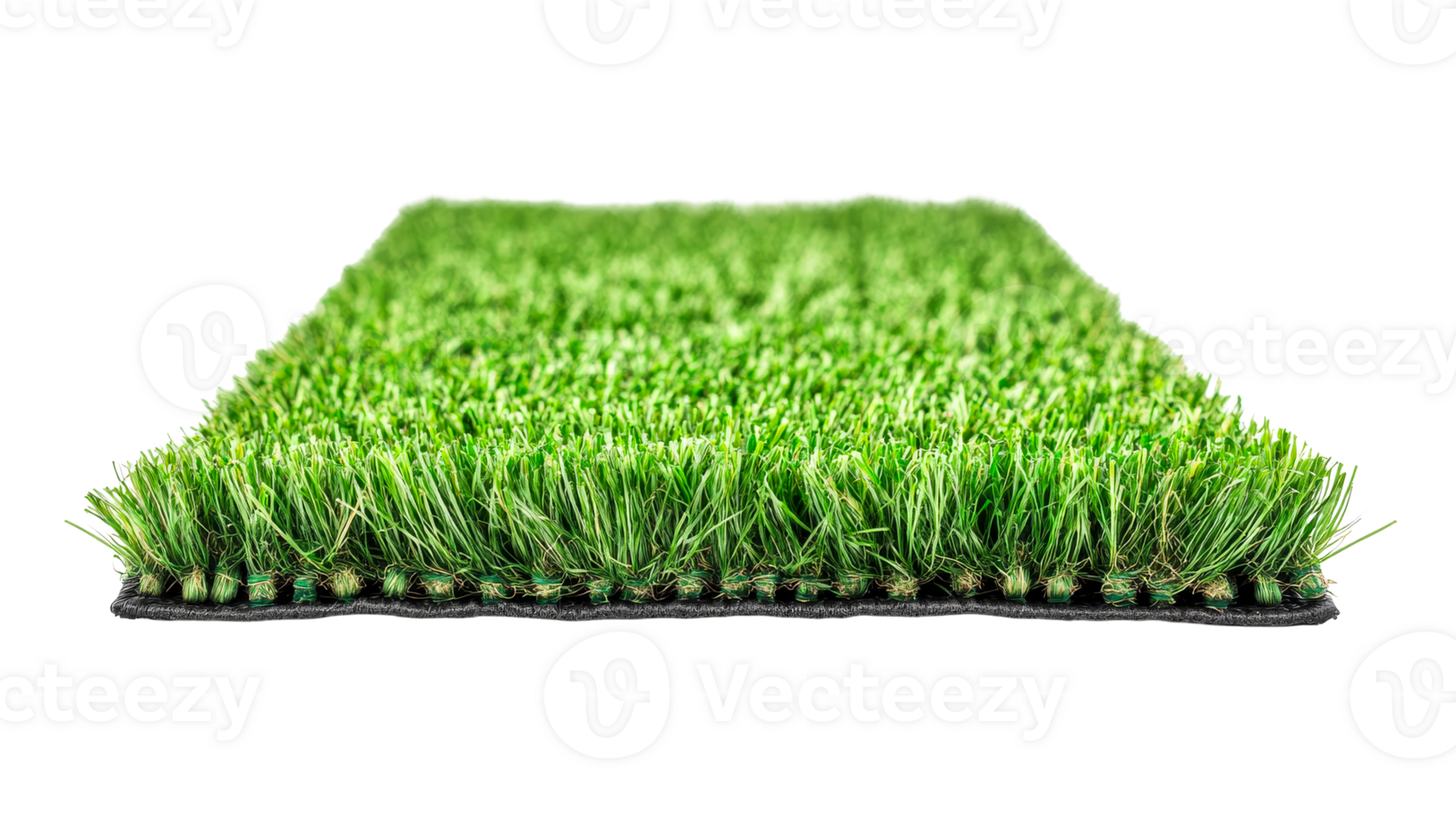 Artificial lawn turf detail cross section, cut out transparent png
