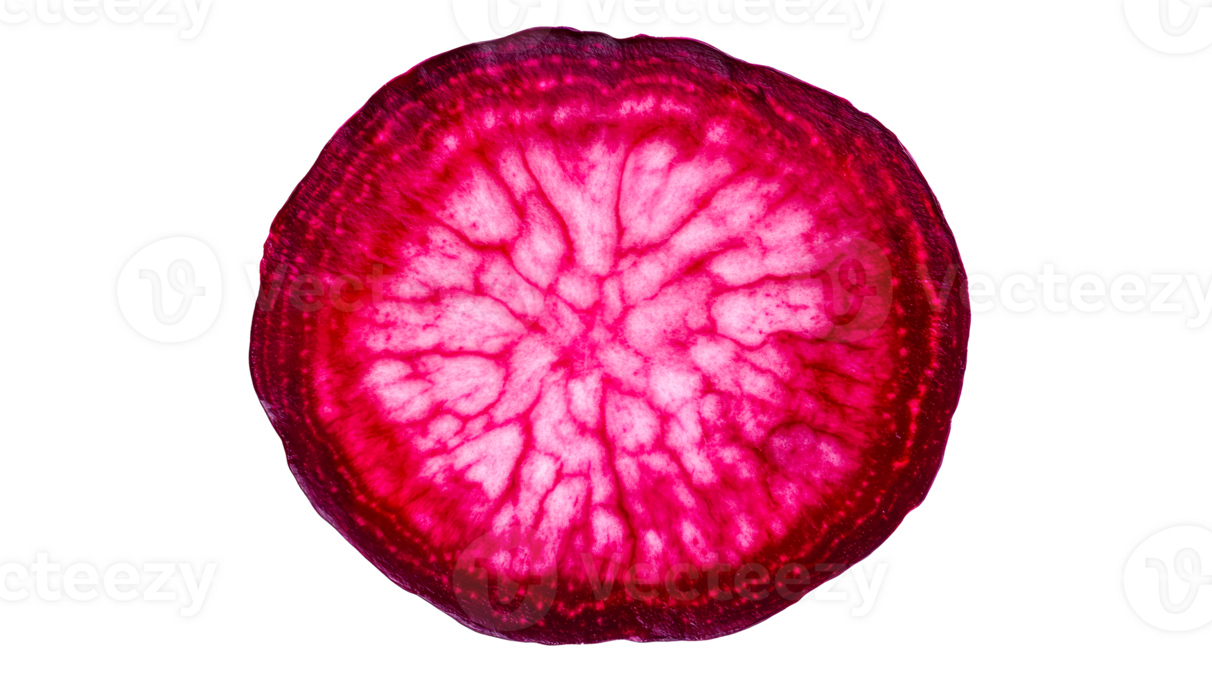 Beetroot slice detail showcases texture, color, pattern, raw, cut out transparent png
