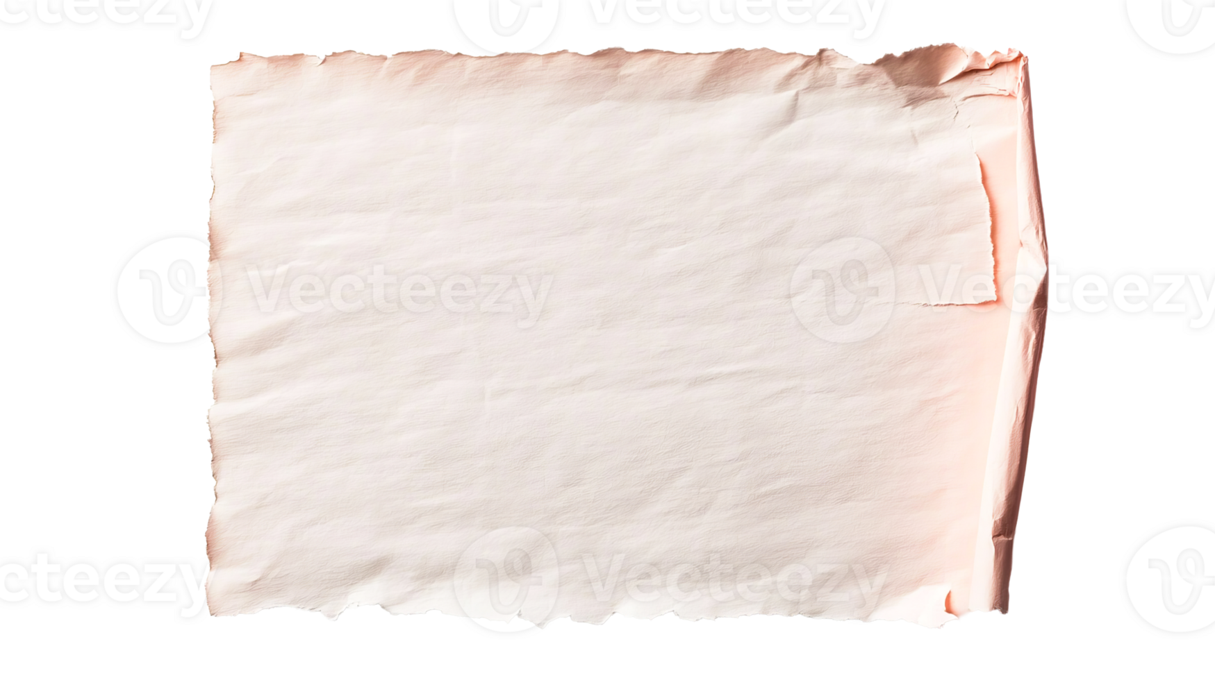 Torn, aged paper with ragged edges and curl, cutout transparent png