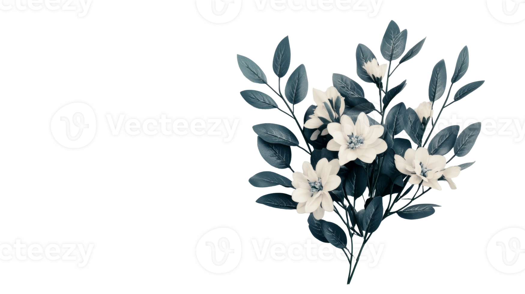 White dahlia flower bouquet with leaves, isolated element , cut out transparent png