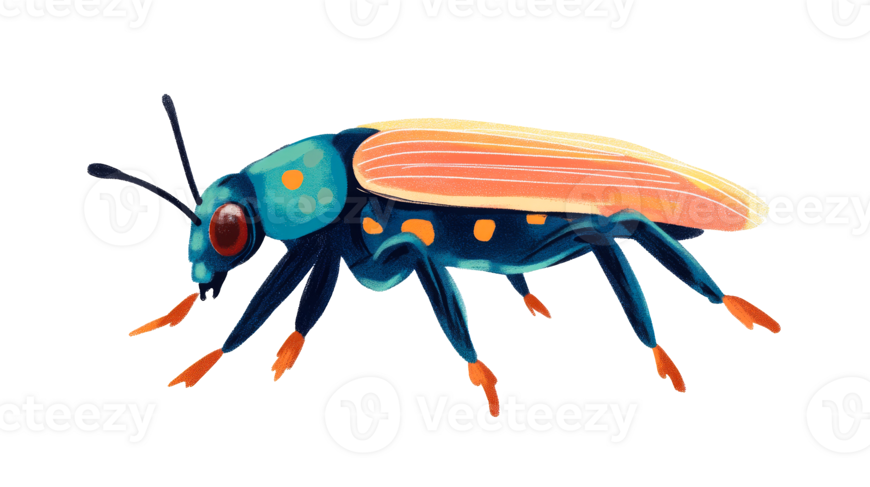 Beetle in vivid colors and intricate details, cut out transparent png