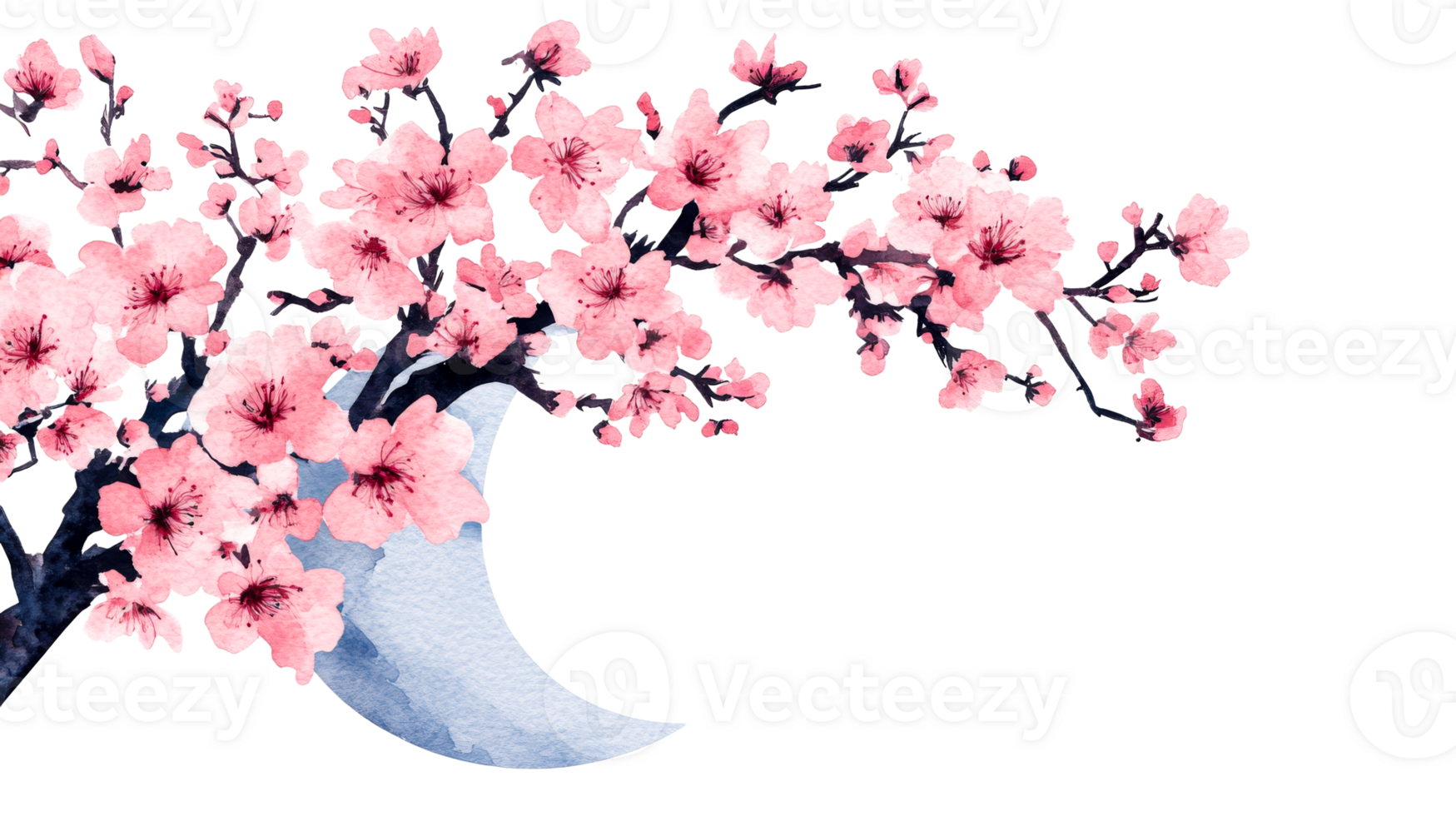 Cherry blossom, moon, Asian art, delicate pink flowers, blooming branch, cut out transparent png