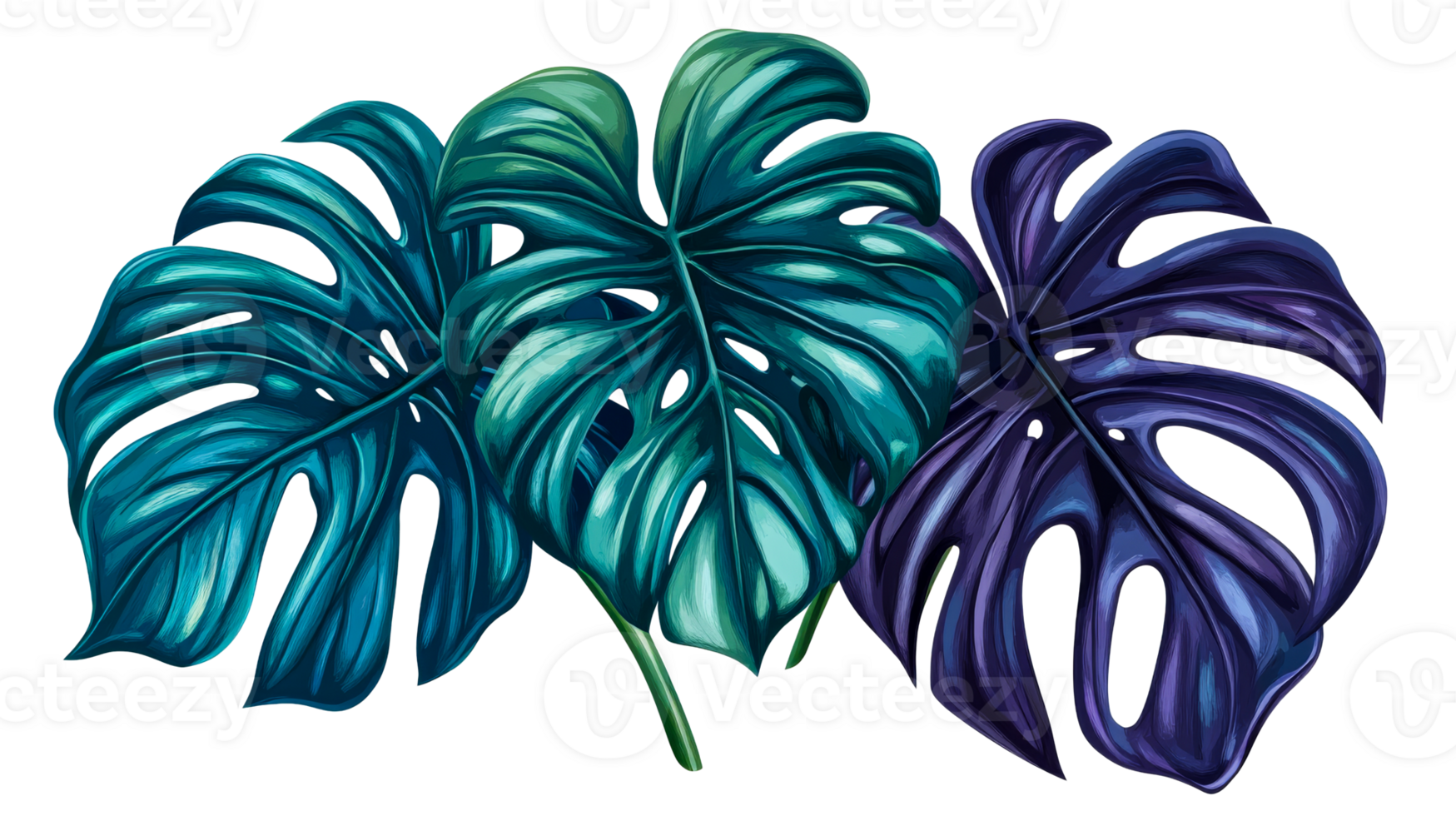Monstera leaves arrangement in blue, teal, and purple colors, cut out transparent png
