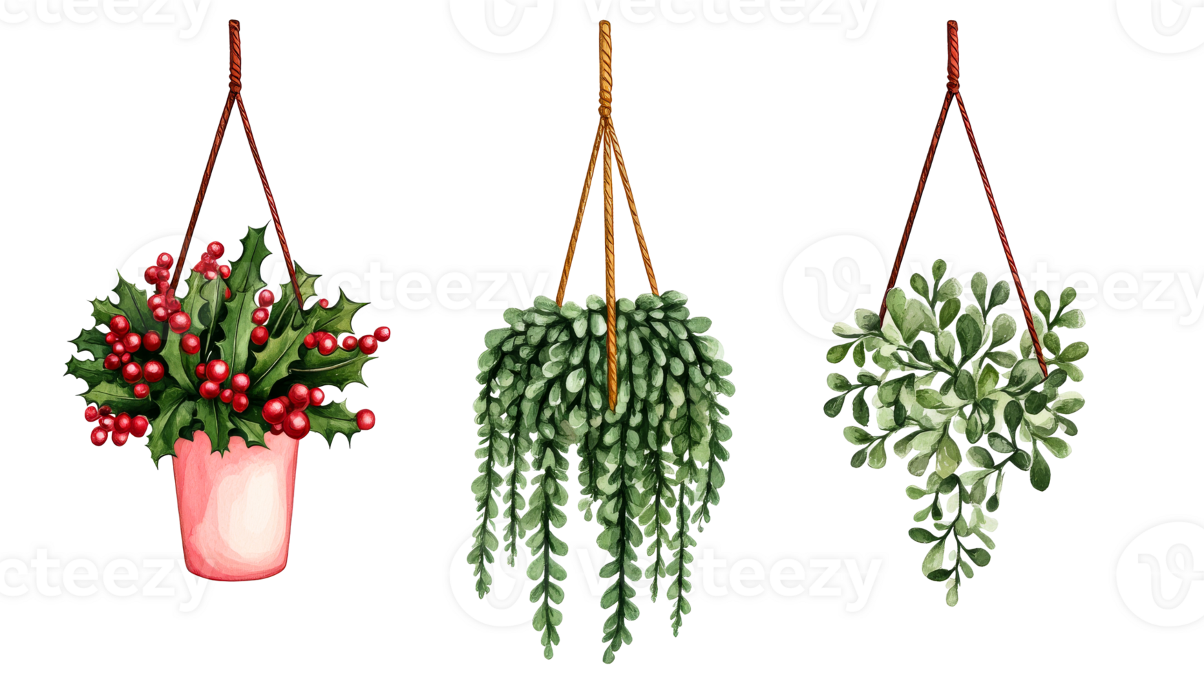Hanging plants in pots with red berries and green leaves, cut out transparent png