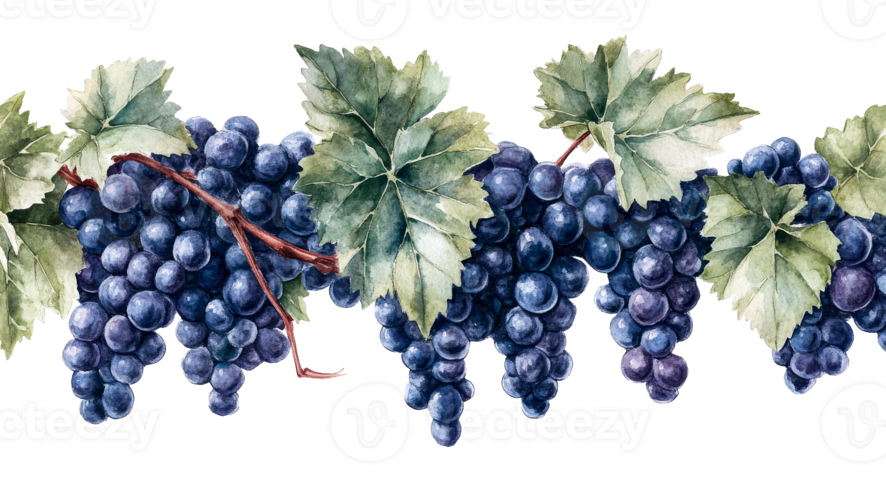 Watercolor of grapes and leaves seamless pattern, cut out transparent png