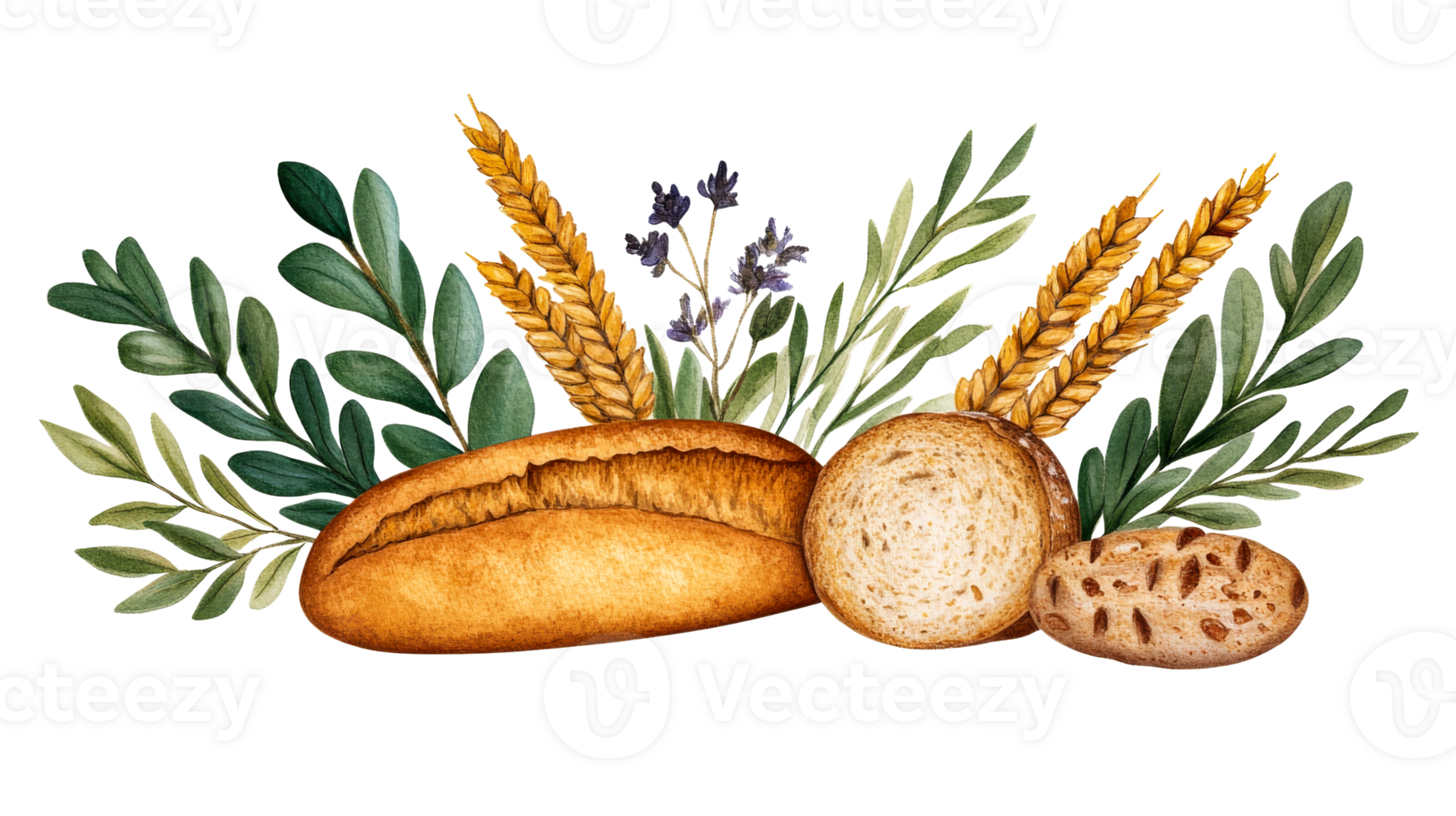 Fresh artisan bread with wheat, herbs, isolated, cut out transparent png