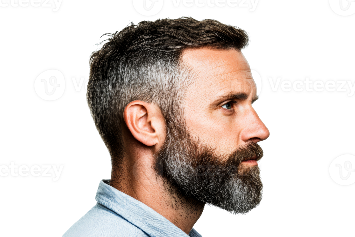 Bearded middle-aged man profile portrait on black background, cut out transparent png