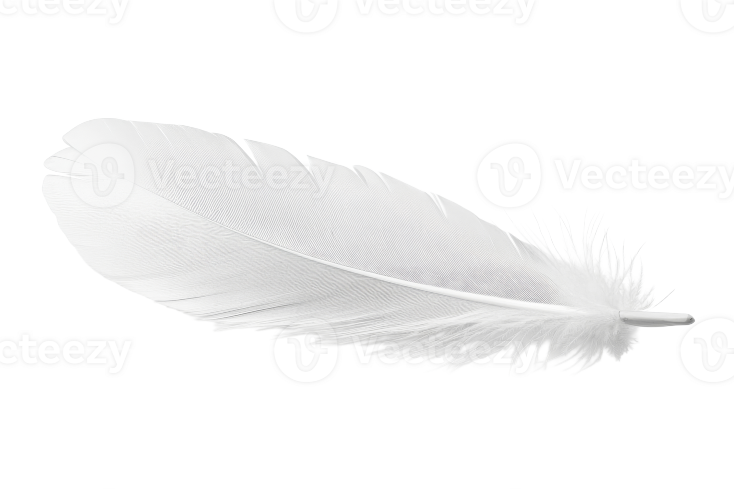 A Single White Feather Isolated Against a Black Background, cut out transparent png