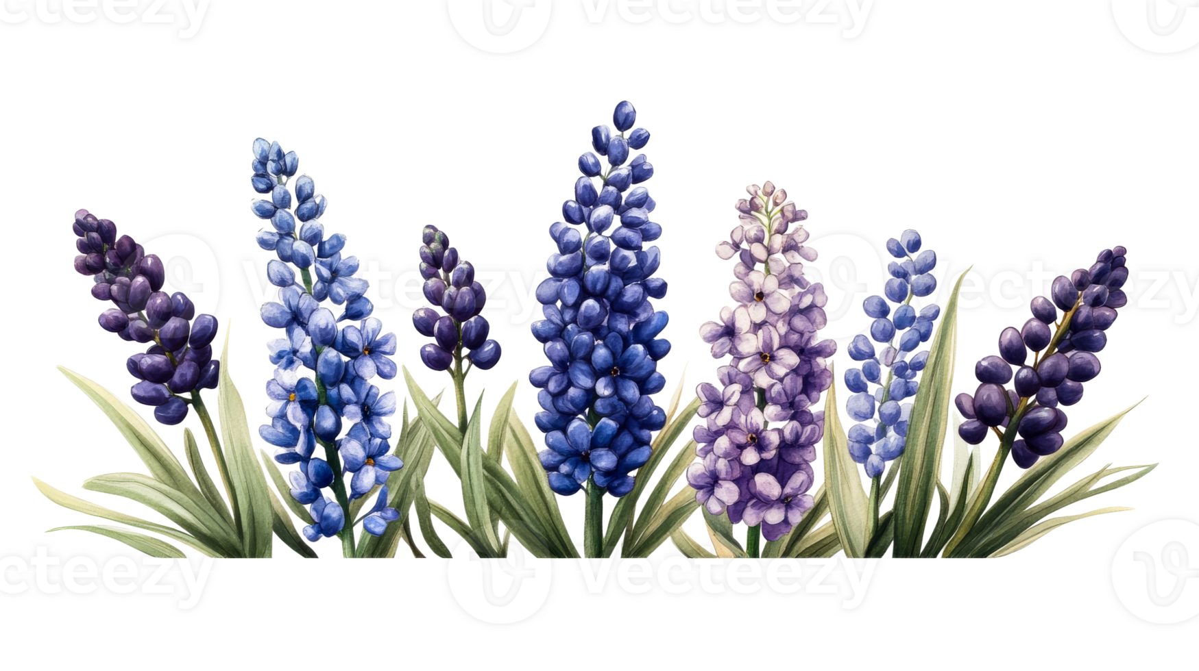 Colorful flowers with transparent background for decoration png
