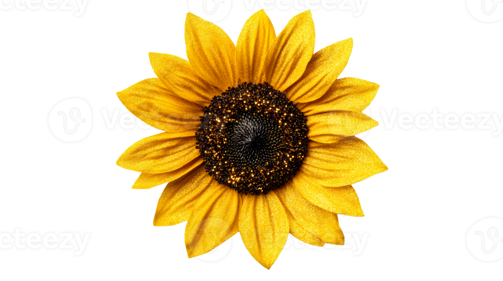 Bright yellow sunflower with detailed petals and center png