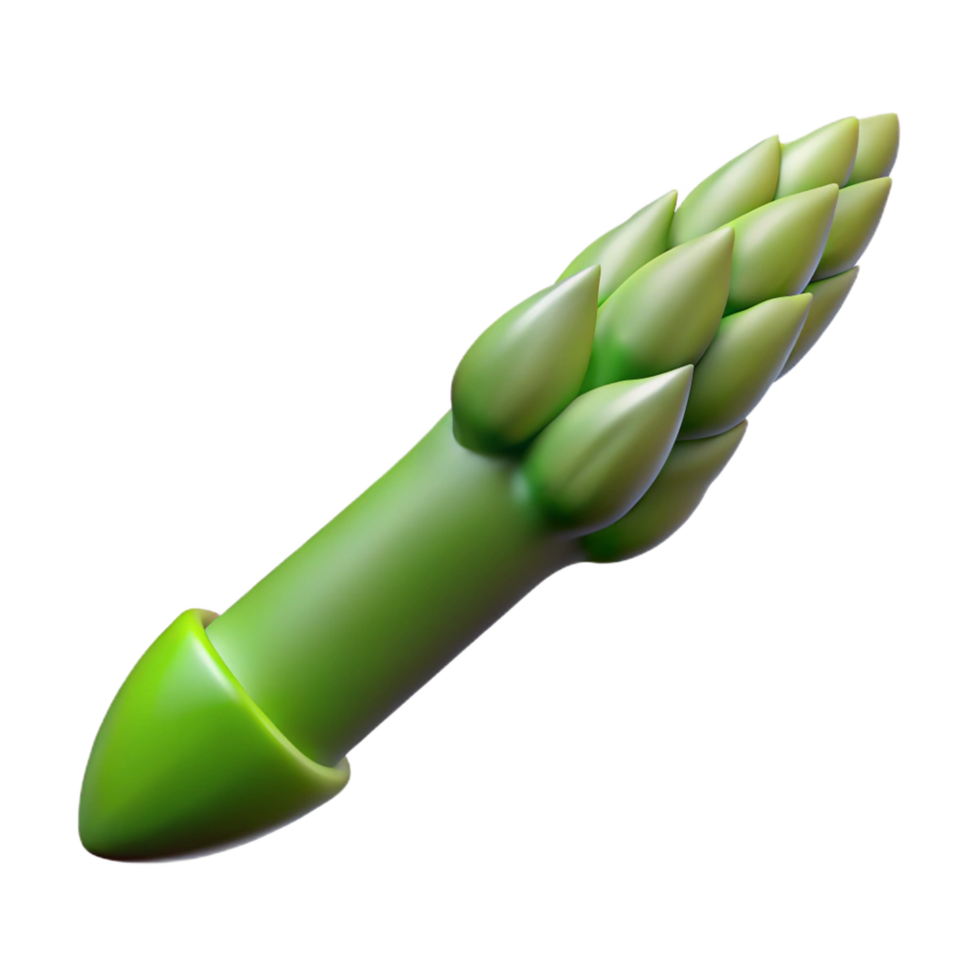 beautiful artistic Single asparagus spear professional png