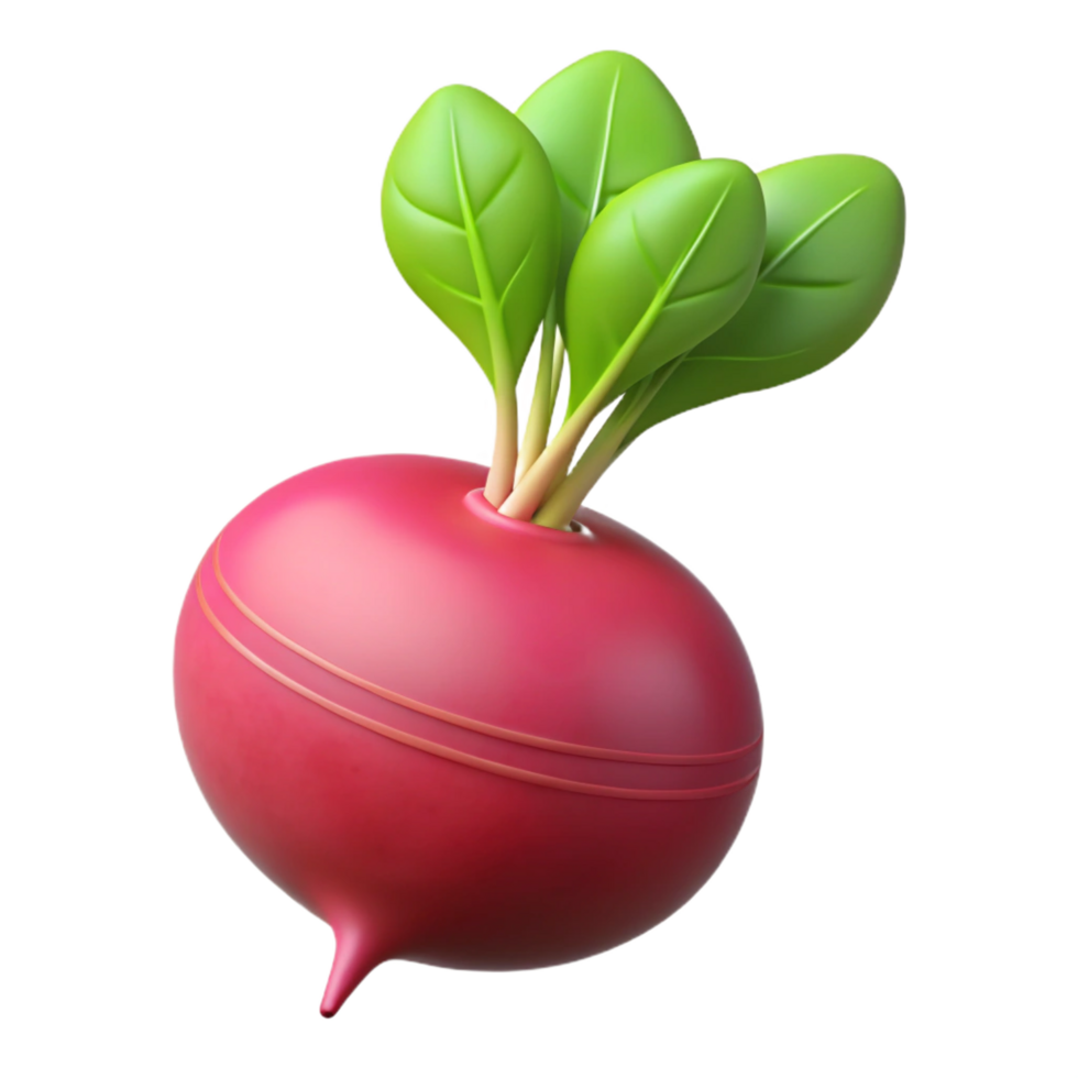 magnificent vintage Radish with leaves detailed png