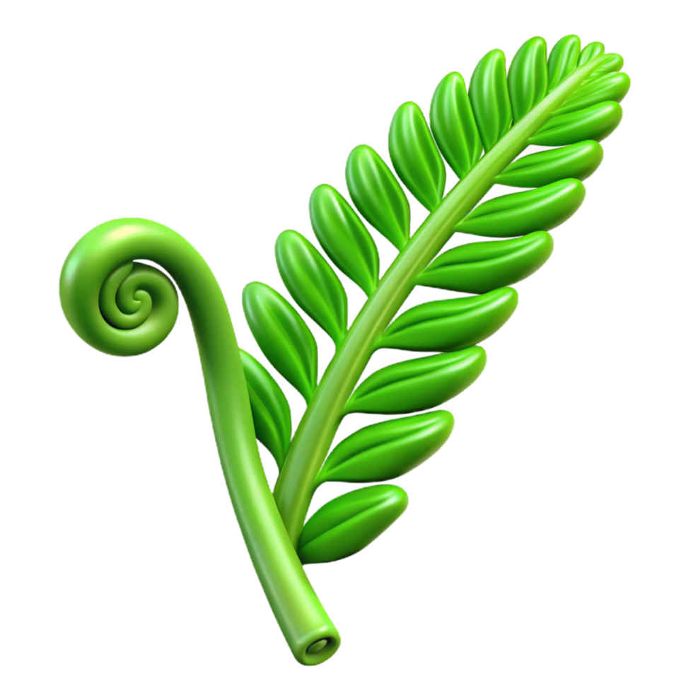 beautiful traditional One green fern frond unfurling detailed png