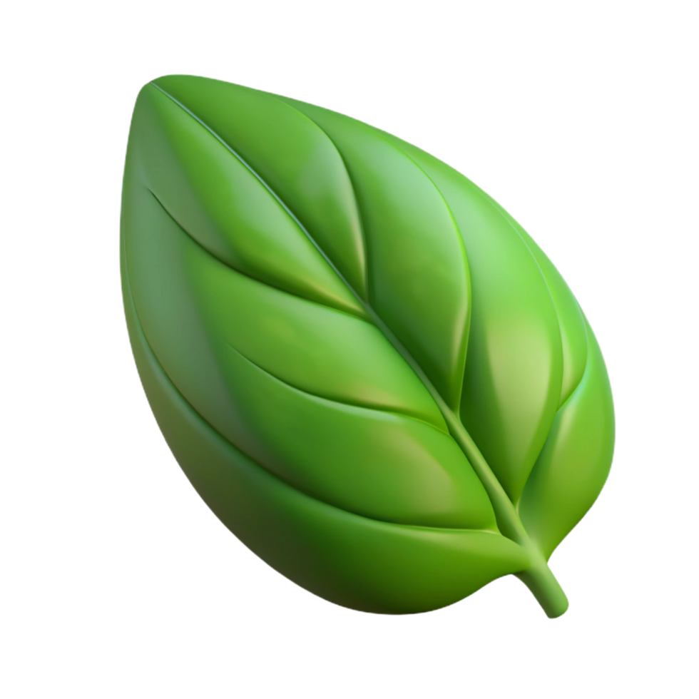 wonderful vintage Single green leaf of basil high quality png