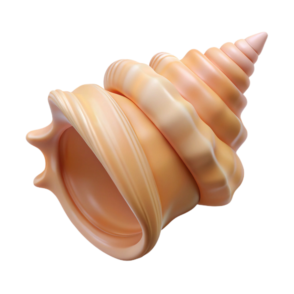 elegant rustic Single seashell, conch high quality png