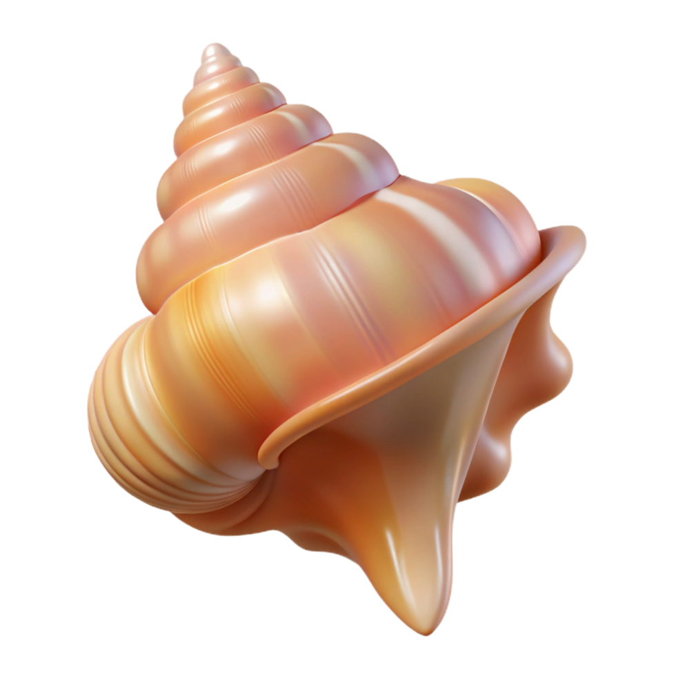 wonderful creative Single seashell, conch exclusive png