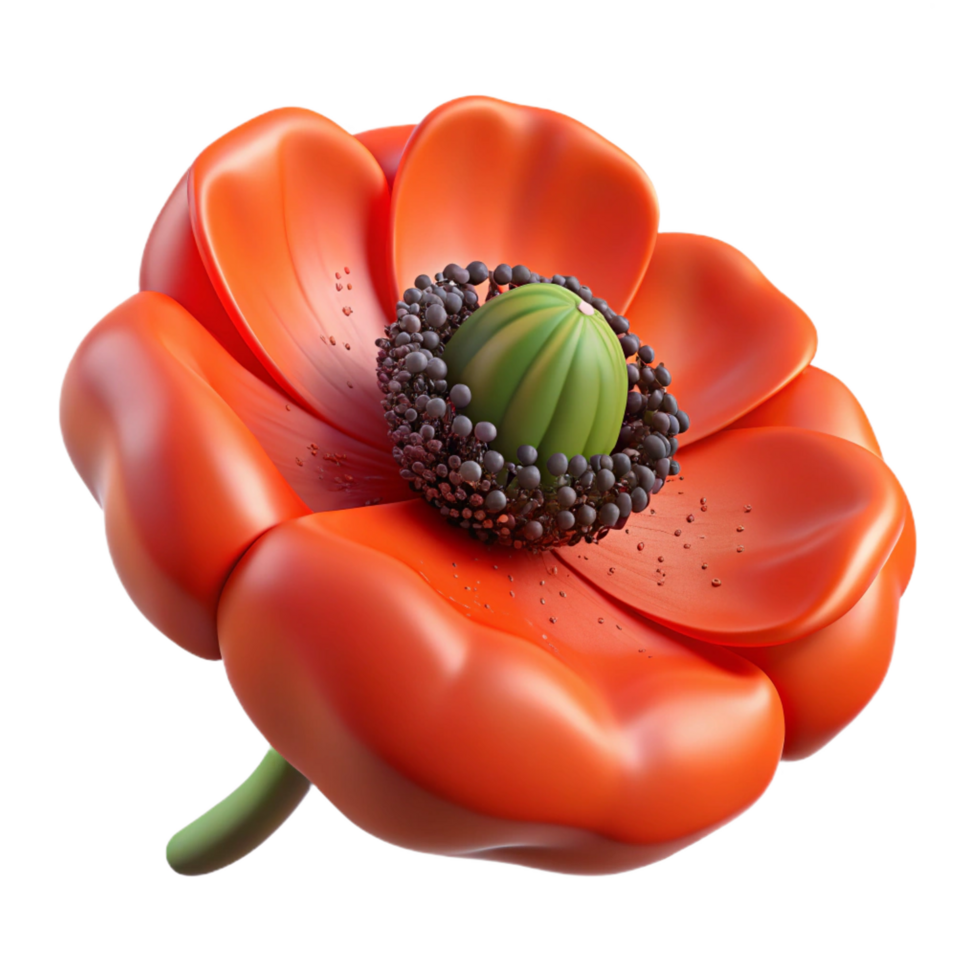 wonderful minimalist Poppy seed exclusive png