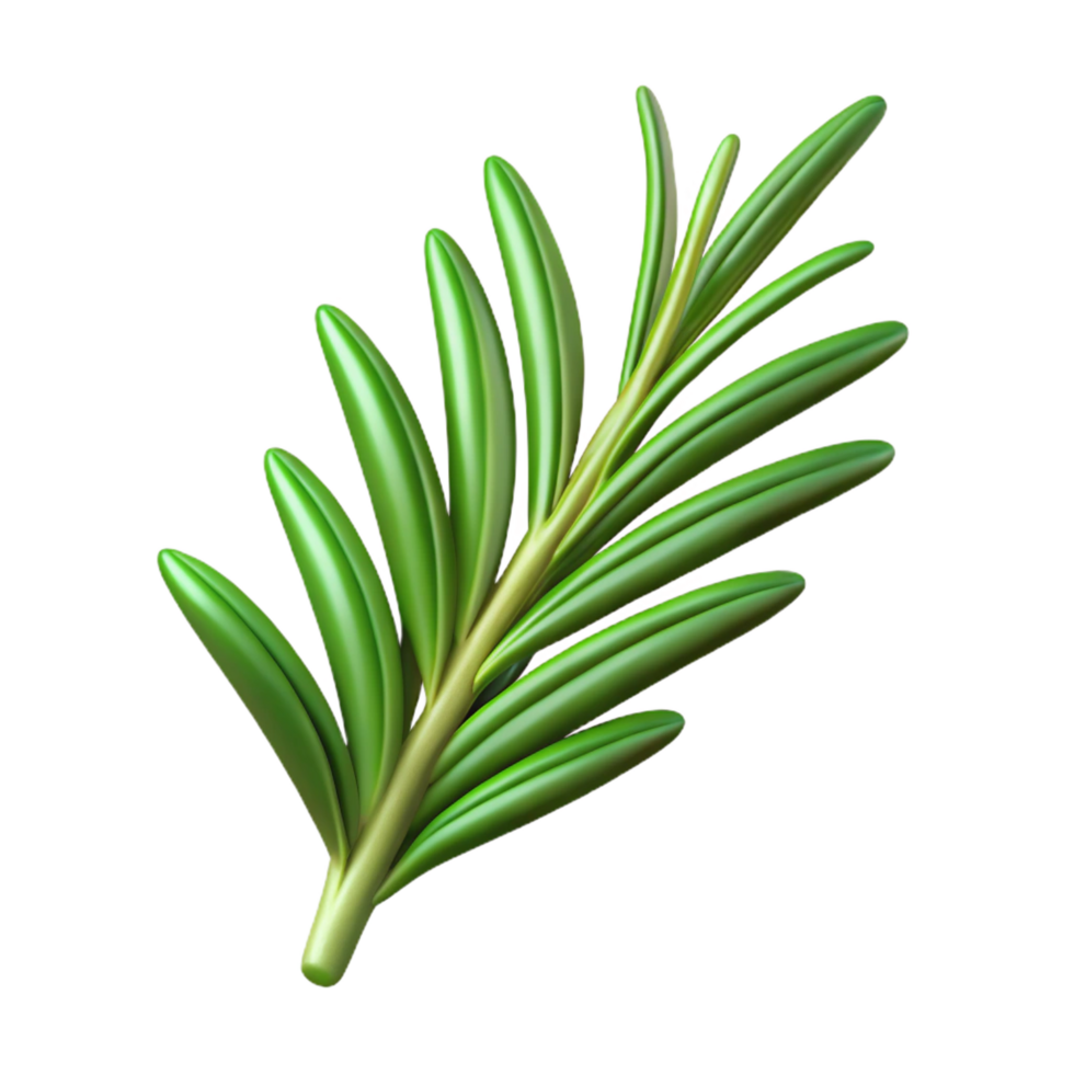 elegant abstract Sprig of rosemary exclusive png