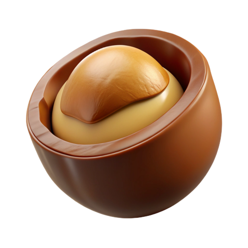 dramatic modern Macadamia nut in shell premium png