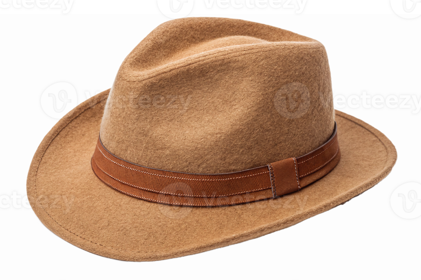 Brown Felt Fedora Hat with Leather Band for Fashion and Outdoor Activities png