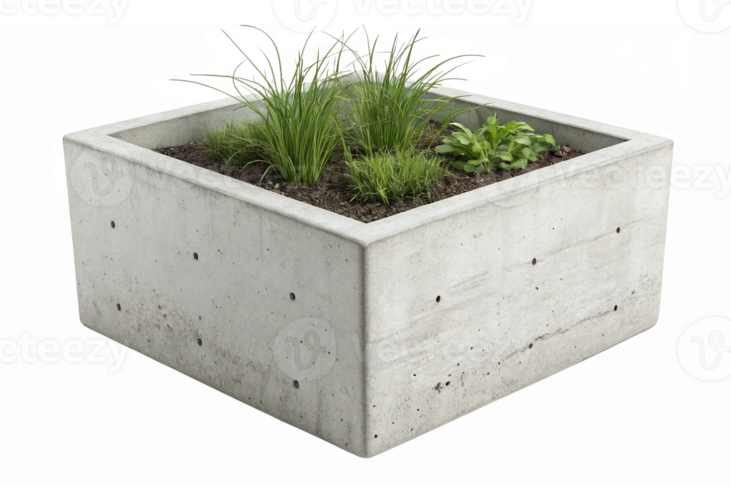 Concrete Square Planter Box with Lush Green Plants for Modern Gardening and Landscaping png