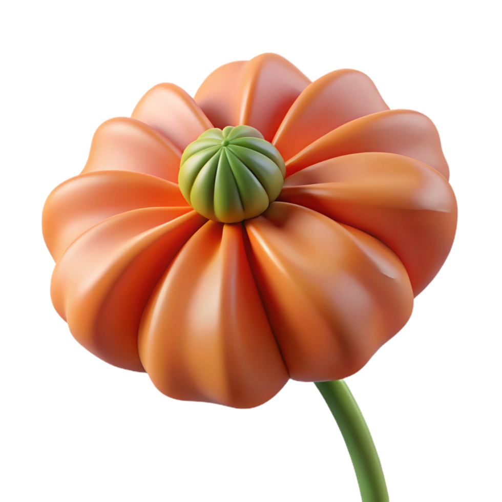 vibrant classic Close-up of a single poppy seed premium png