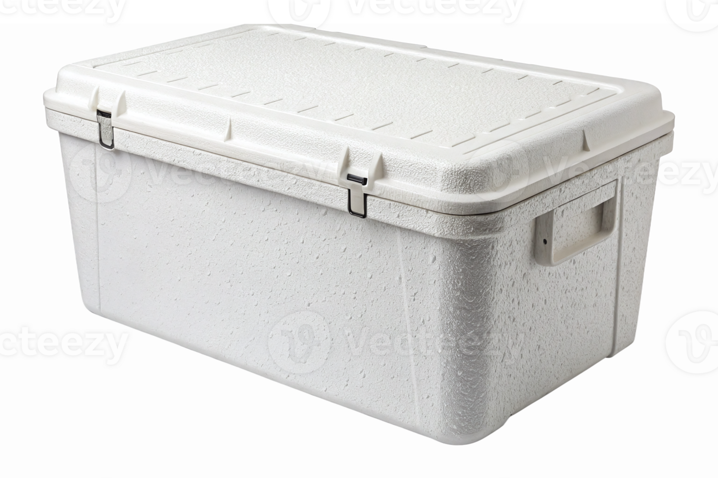 Durable Insulated Storage Box with Lid for Food Transport and Outdoor Activities png