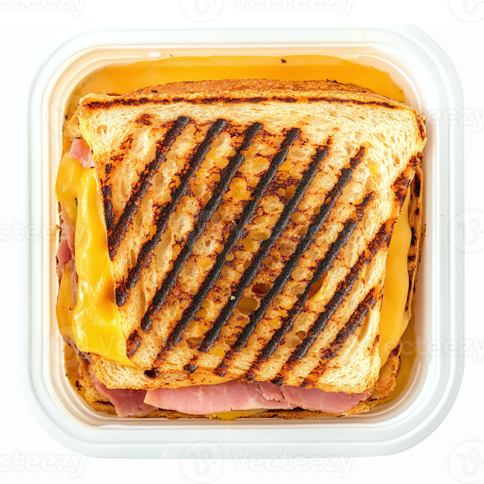 Delicious Grilled Cheese Sandwich with Melted Cheese and Crispy Bread in a Container png