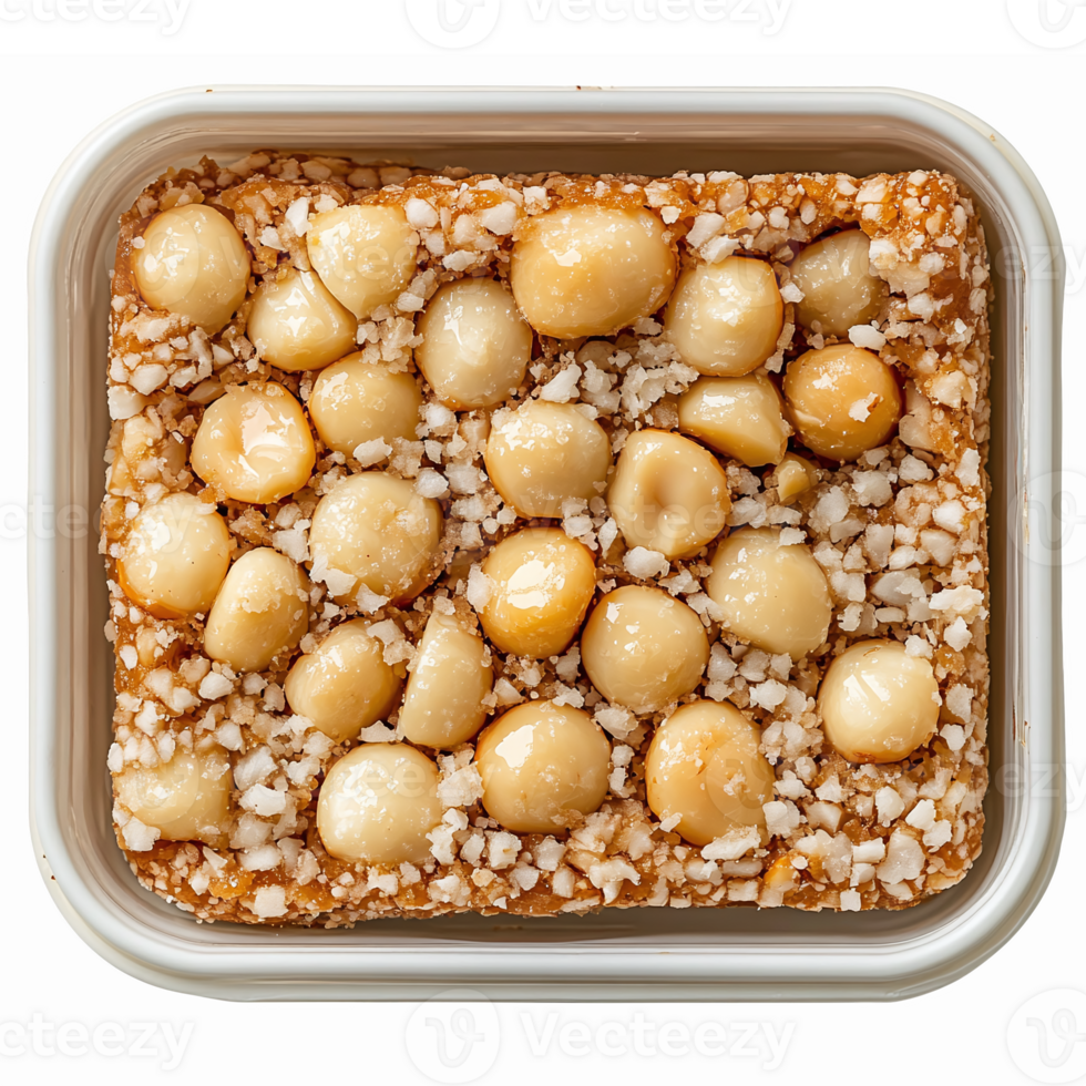 Delicious Macadamia Nut Fudge Dessert with Crunchy Sea Salt Topping on Transparent Background png