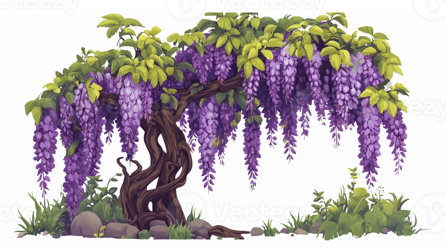 Vibrant Wisteria Tree with Cascading Purple Blooms and Lush Green Leaves on Transparent Background png