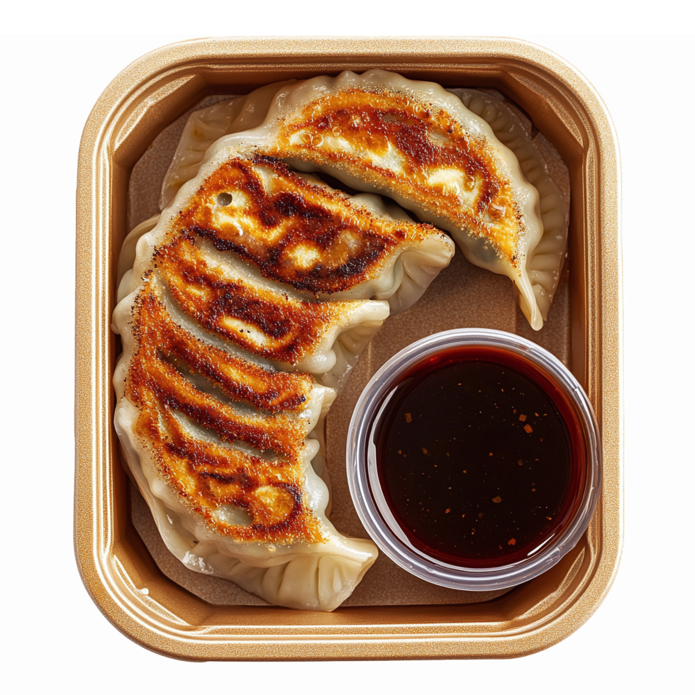 Delicious Pan Seared Dumplings with Soy Sauce in Eco-Friendly Takeout Container png