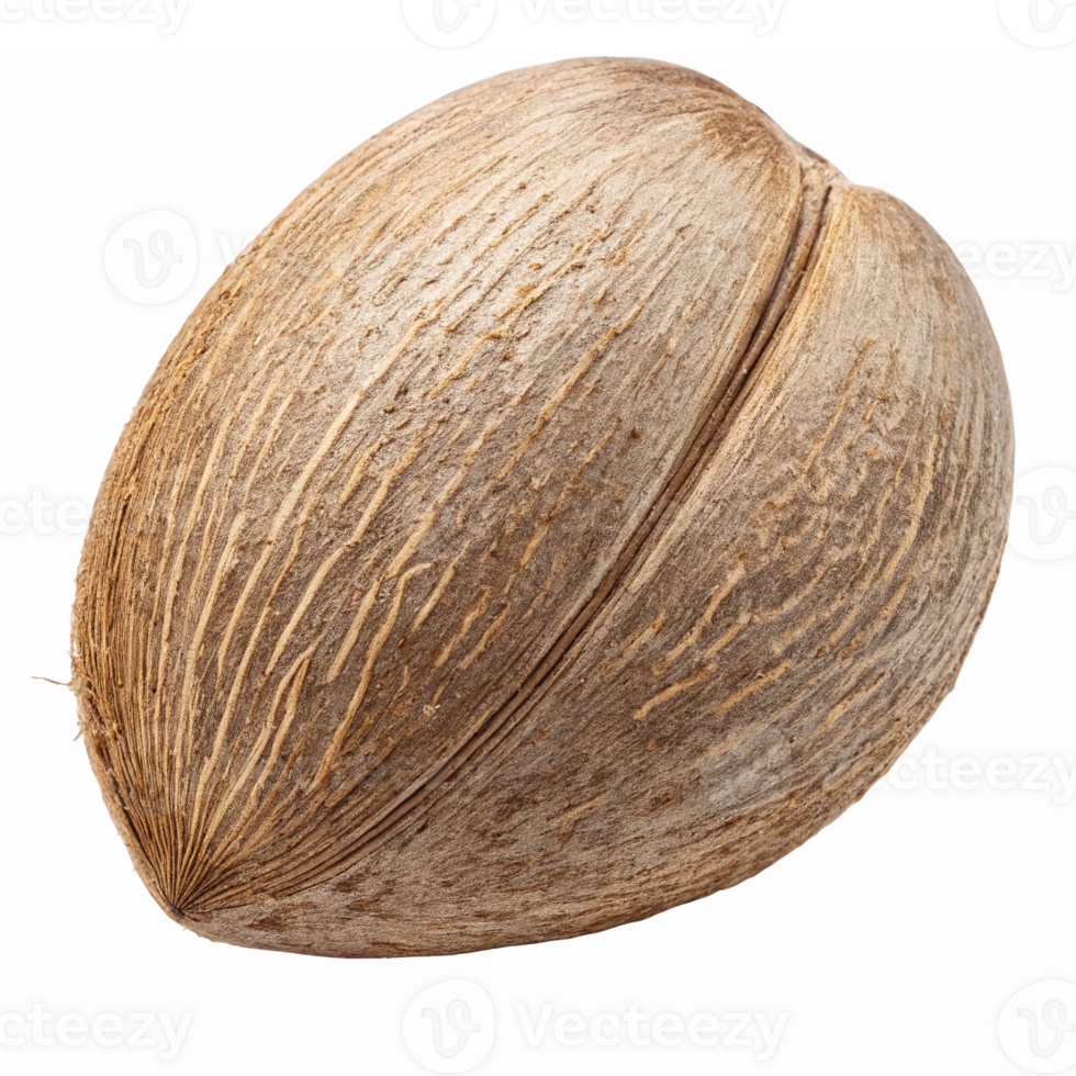 Realistic Pecan Nut Isolated on Transparent Background for Culinary and Nutritional Use png