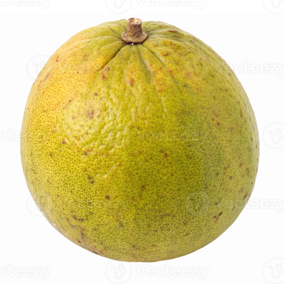 Fresh Green Pomelo Fruit Isolated on White Background for Culinary and Nutritional Use png