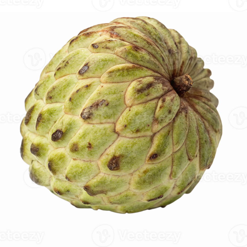 Fresh Custard Apple with Unique Scaly Green Skin Ready for Healthy Recipes and Smoothies png