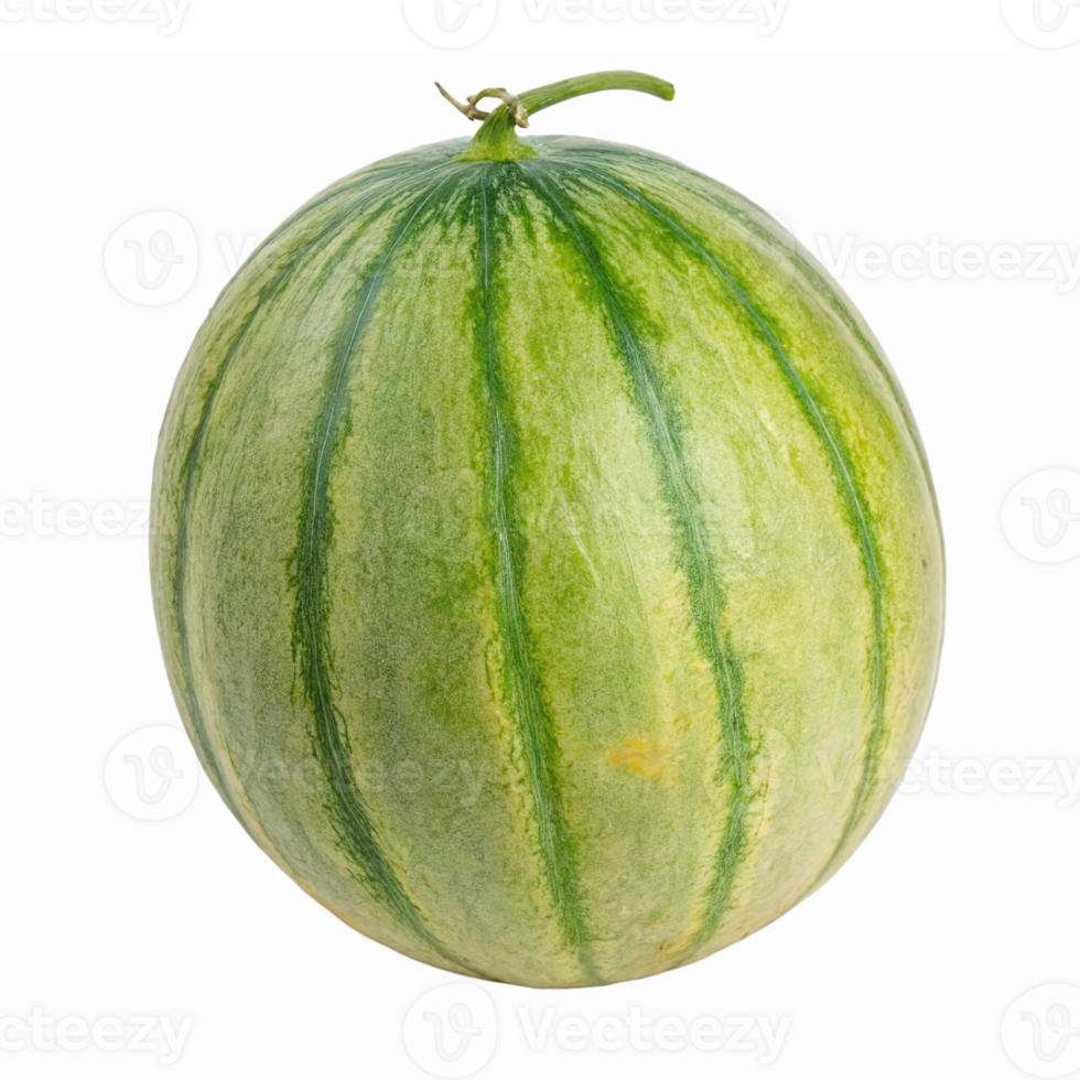 Fresh Green Watermelon Whole with Stripes Isolated on Transparent Background png