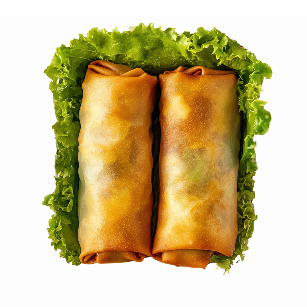 Fresh Spring Rolls Wrapped in Crisp Lettuce on Transparent Background for Culinary Designs png