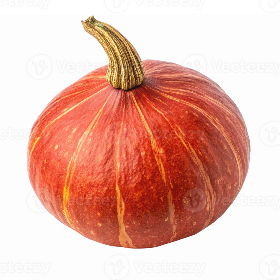 Fresh Red Pumpkin with Striped Skin Isolated on Transparent Background for Harvest Themes png