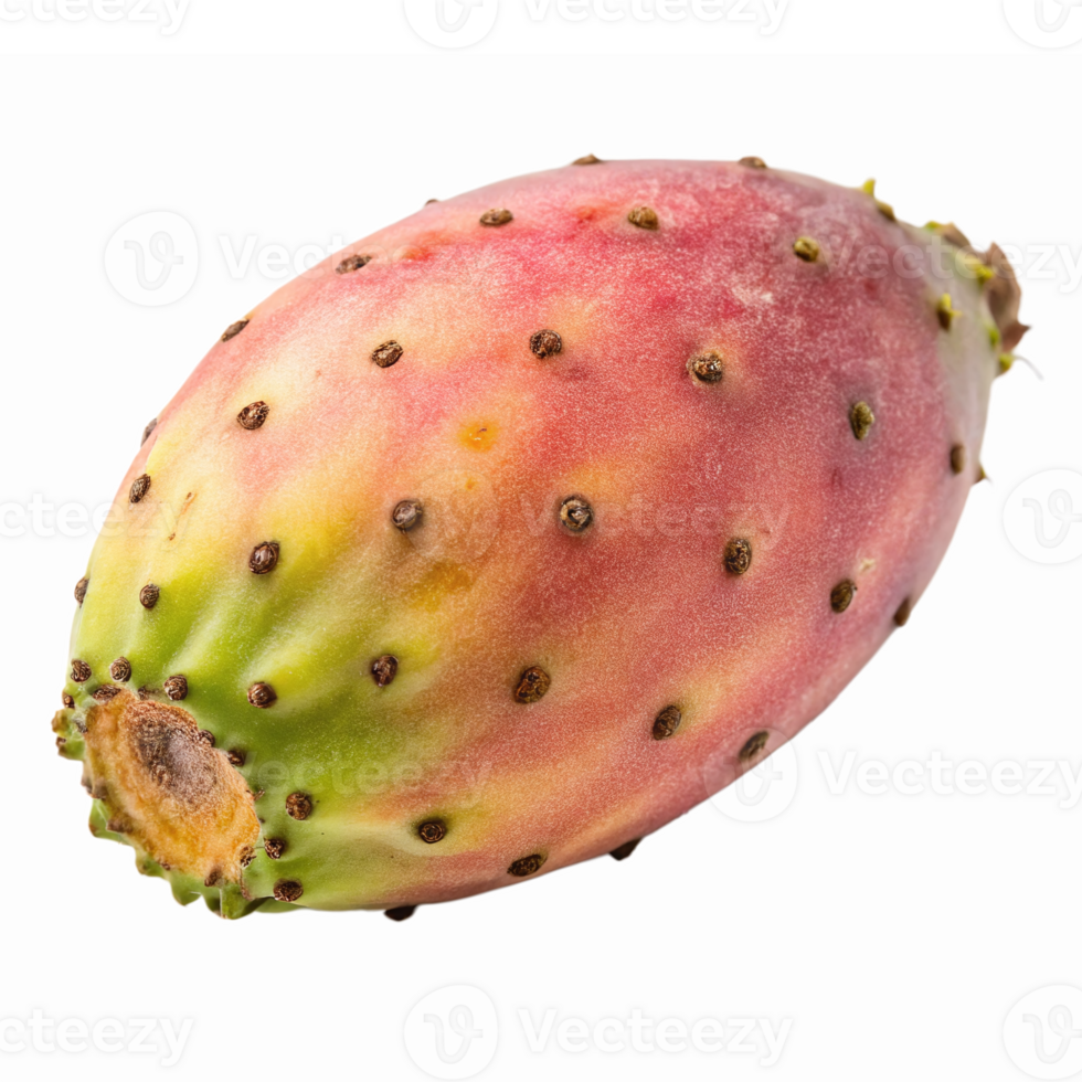 Fresh Prickly Pear Cactus Fruit Edible Tropical Superfood With Thorny Skin png