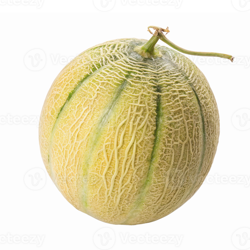 Fresh Ripe Cantaloupe Melon Isolated on Transparent Background for Culinary Use png