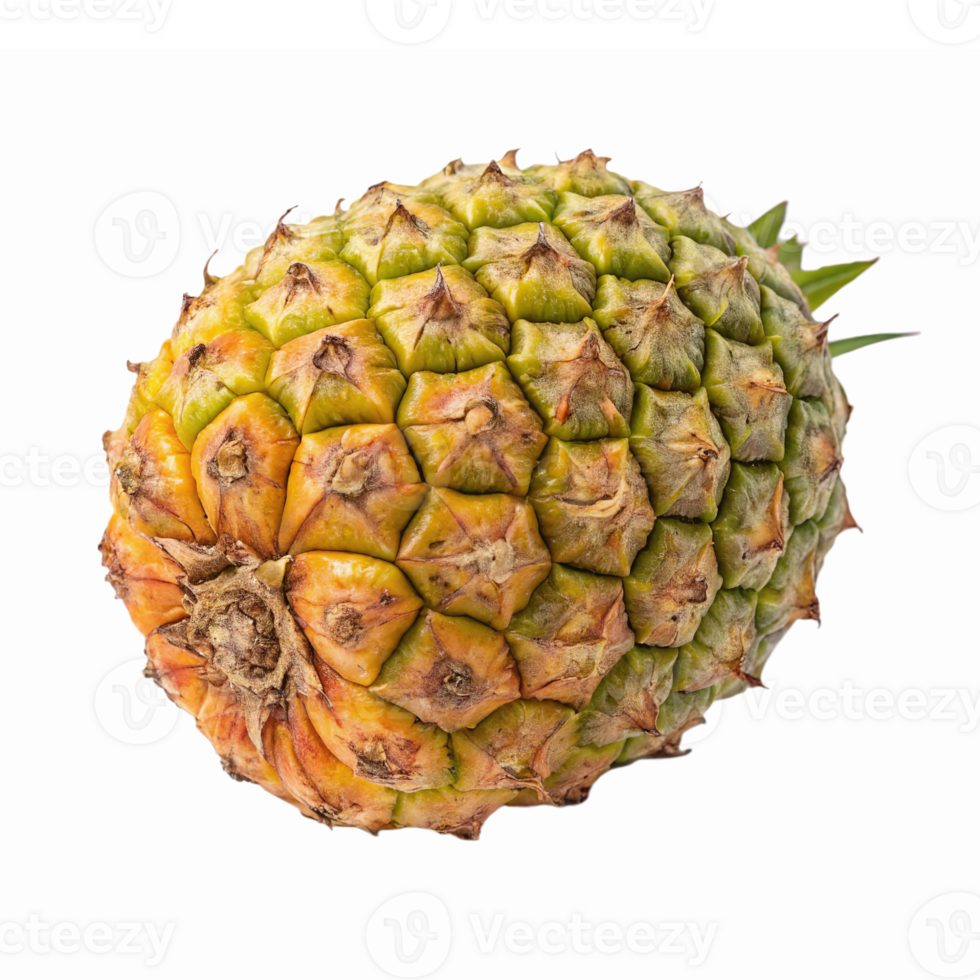 Fresh Tropical Pineapple Whole Fruit Isolated on Transparent Background for Culinary Designs png