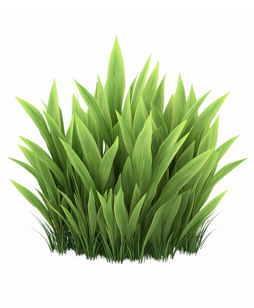 Lush Green Grass Clump with Vibrant Blades for Nature Themes and Landscaping Projects png