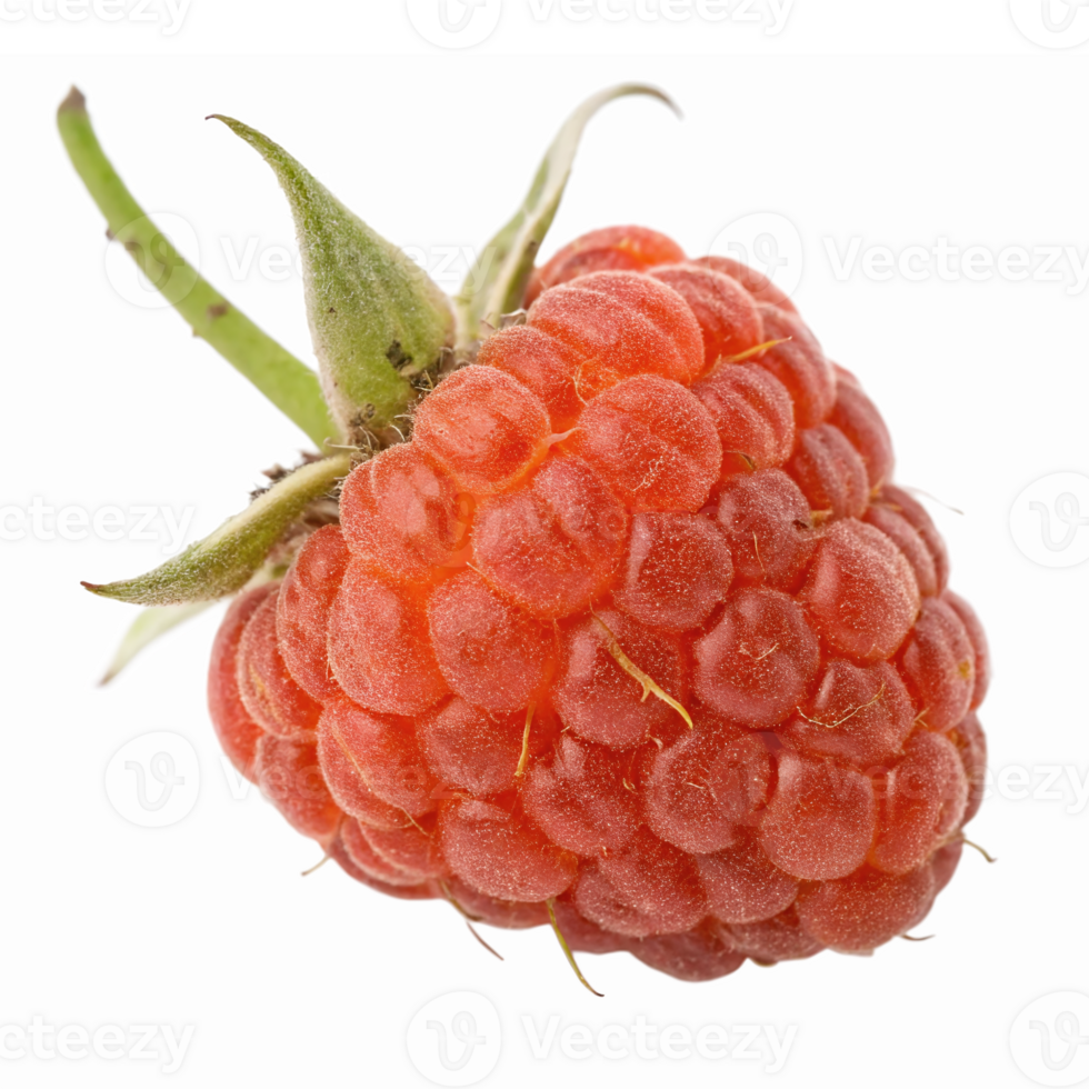 Fresh Bright Red Raspberry with Green Leaves on Transparent Background for Healthy Recipes png
