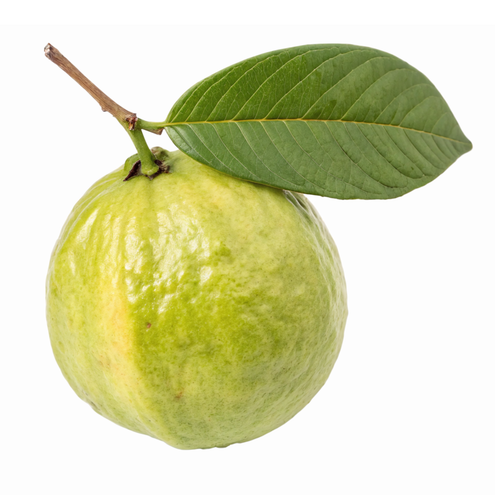 Fresh Green Guava with Leaf Isolated on Transparent Background for Culinary and Health Use png