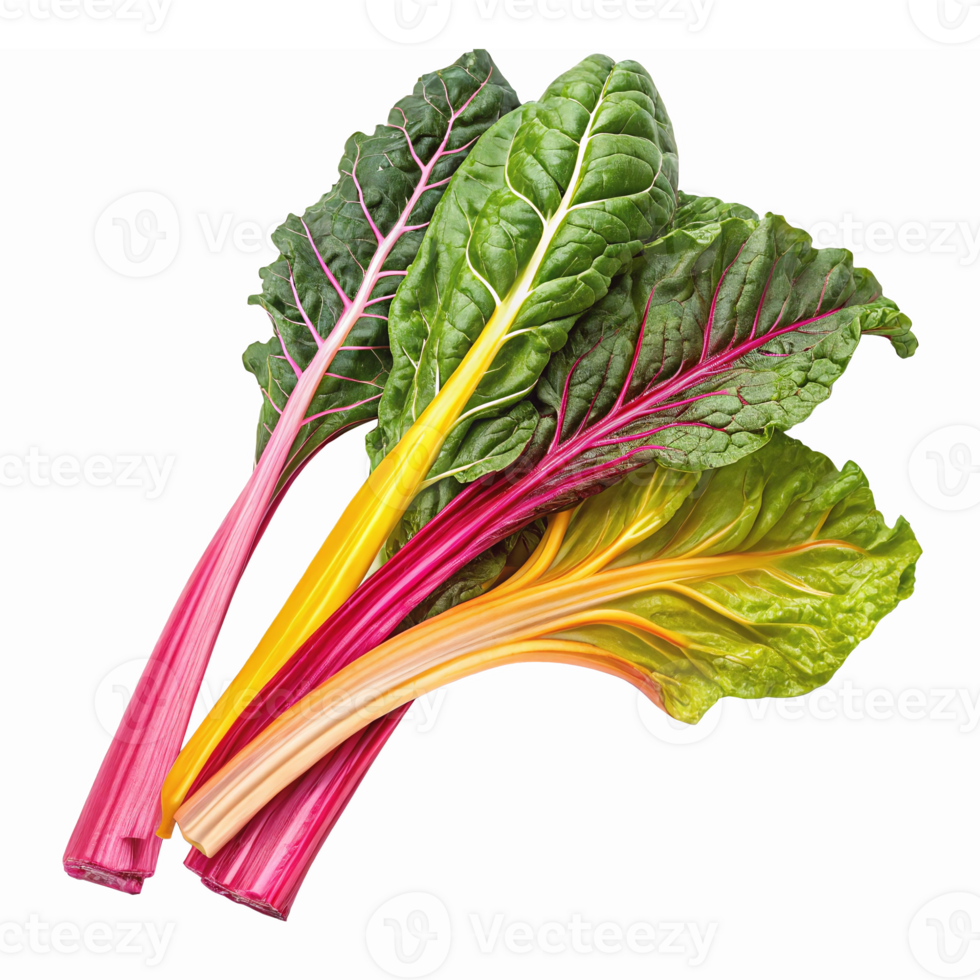 Vibrant Fresh Swiss Chard Bunch with Colorful Stems and Lush Green Leaves for Healthy Cooking png