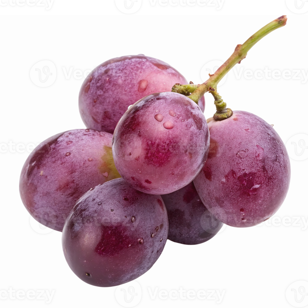 Fresh Juicy Purple Grapes Bunch with Water Droplets on Transparent Background png