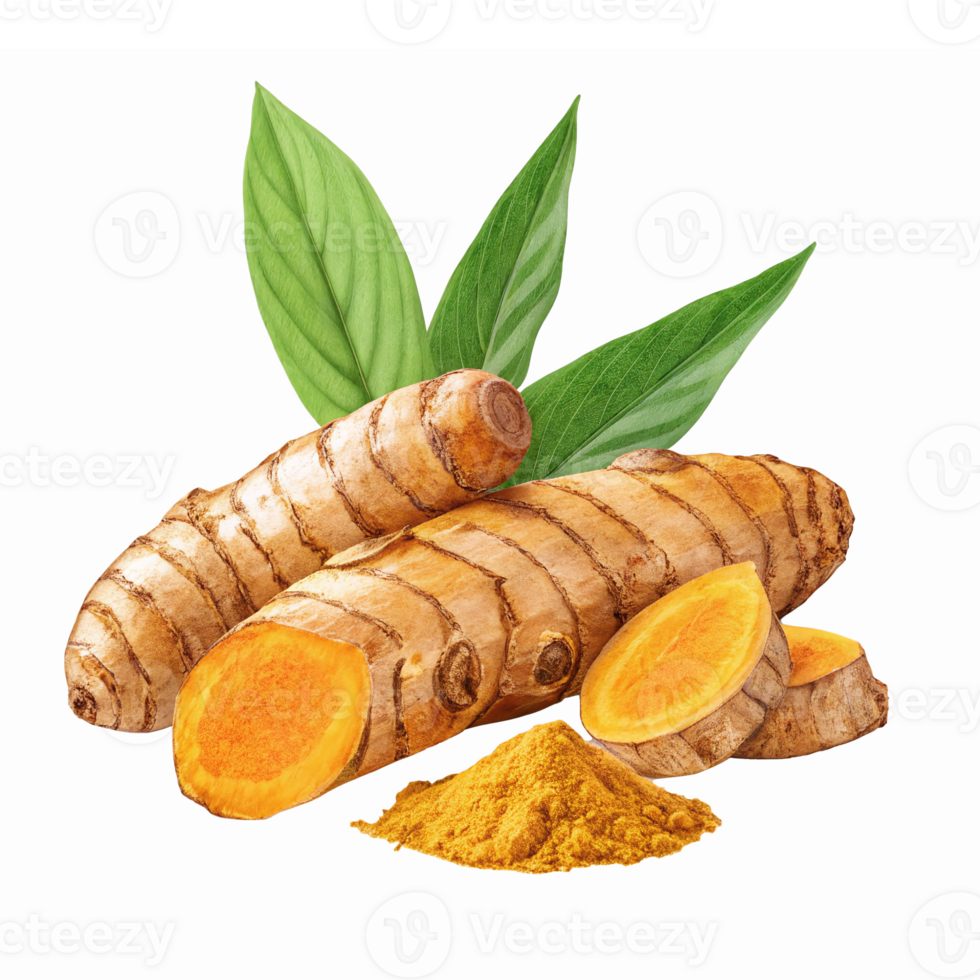 Fresh Turmeric Roots with Slices and Yellow Powder on Transparent Background png