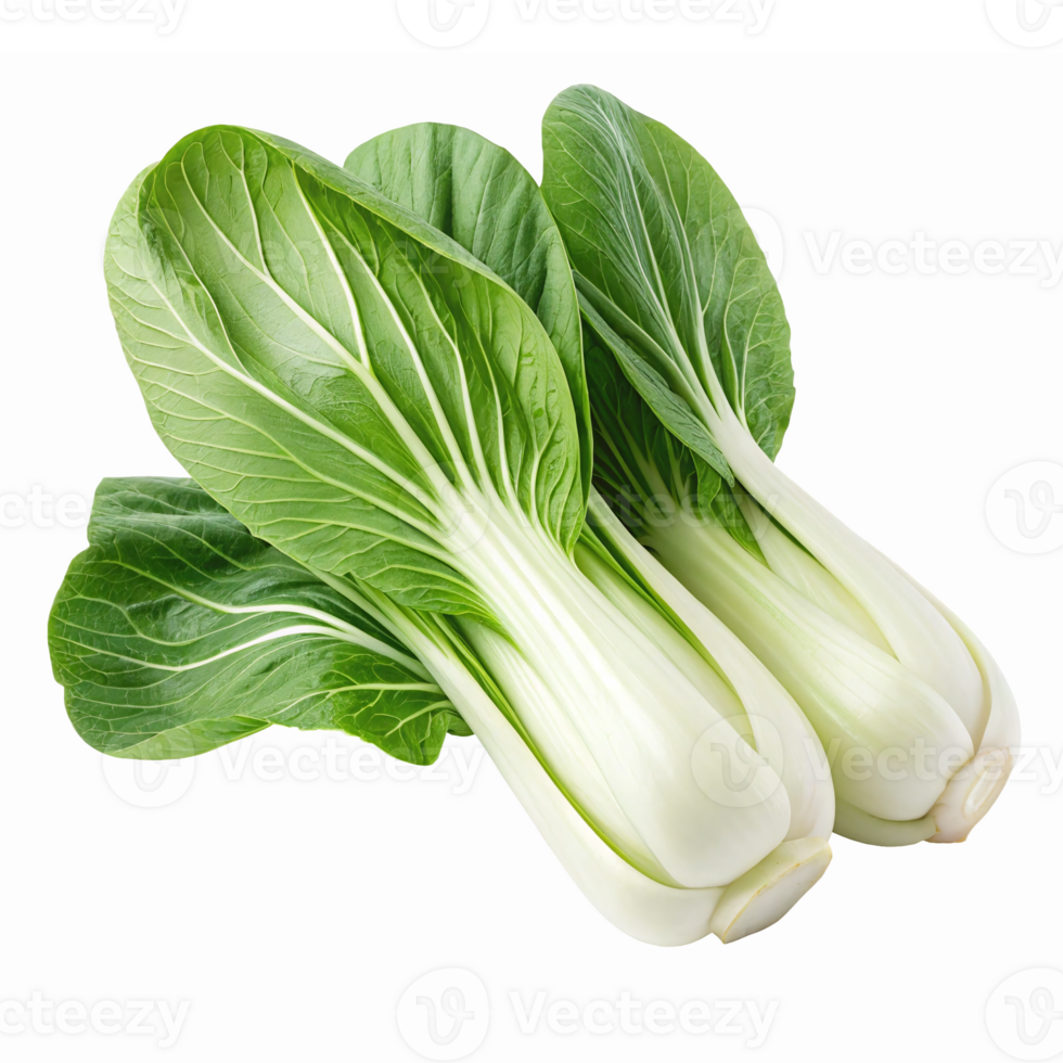 Fresh Bok Choy Vegetable with Crisp Green Leaves and Stalks for Healthy Cooking and Nutrition png
