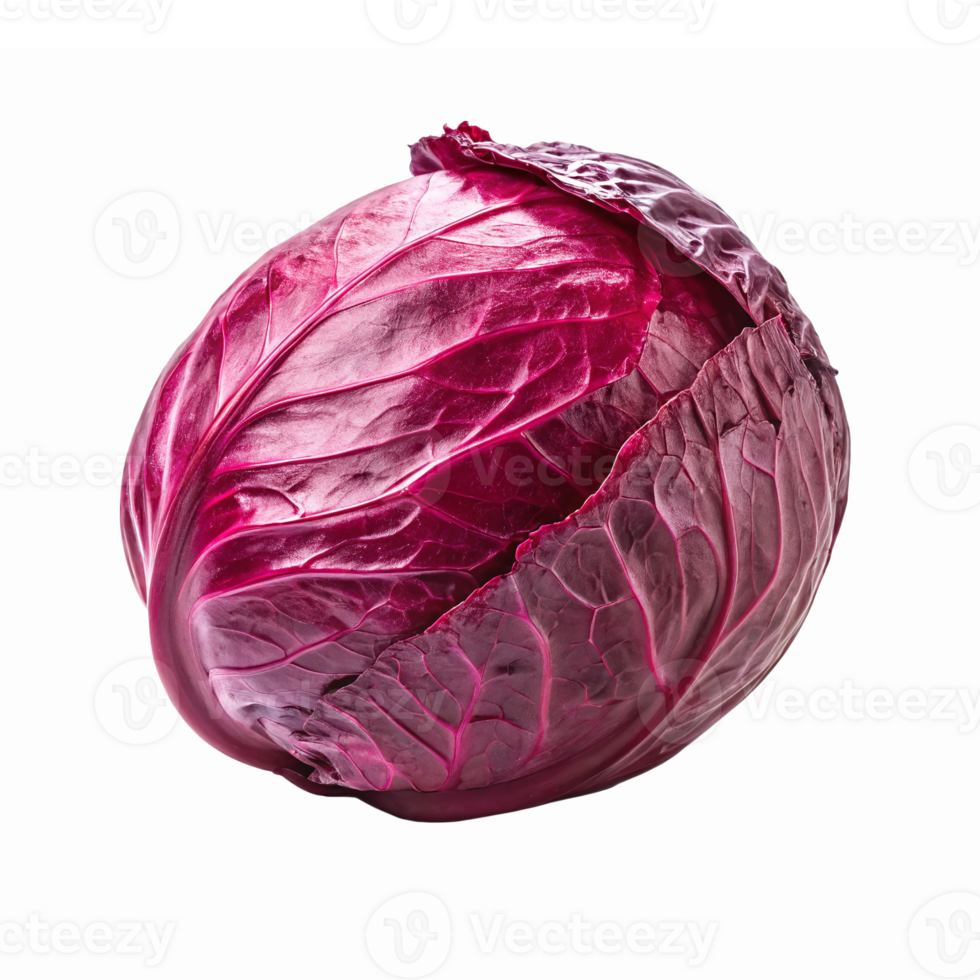 Fresh Vibrant Red Cabbage with Textured Leaves on Transparent Background for Culinary Use png