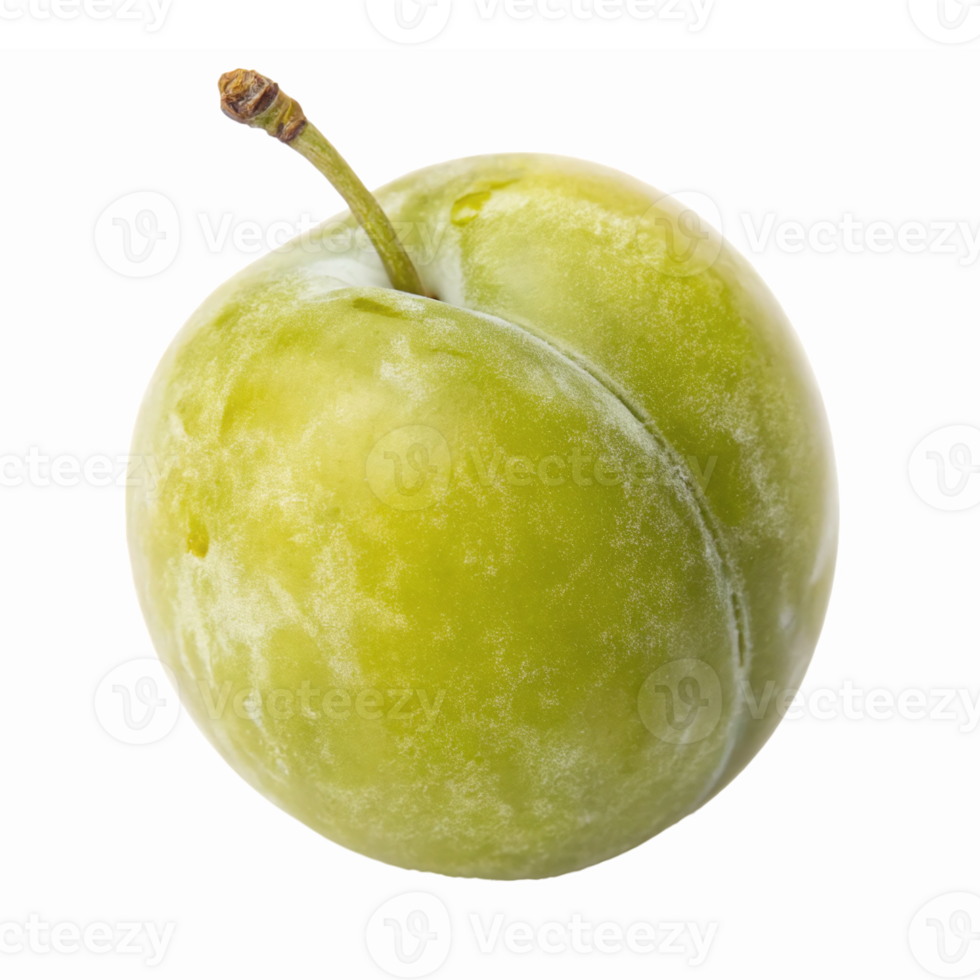 Fresh Green Plum with Glossy Skin and Stem on Transparent Background for Culinary Use png