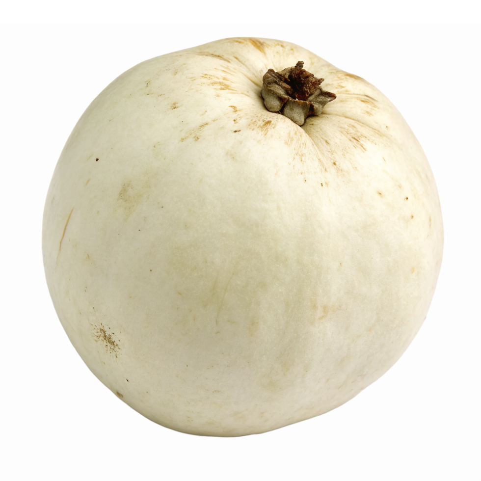 Fresh White Eggplant on Transparent Background Ideal for Healthy Cooking Recipes and Vegetables png
